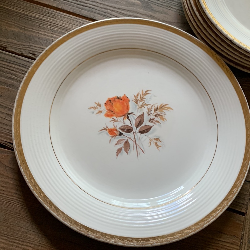 Triumph plates - Picture 3 of 4